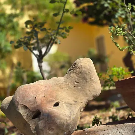 Xdreamport Апартаменти