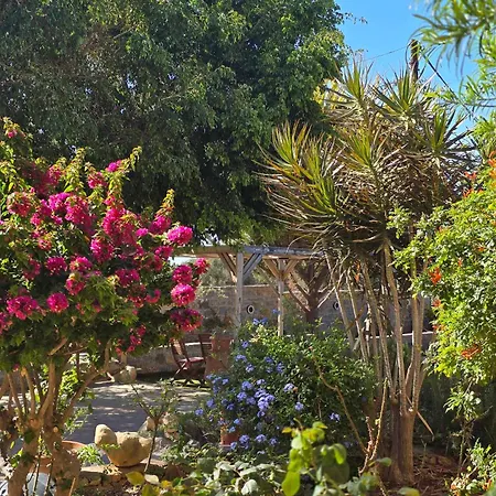 Апартаменты Xdreamport