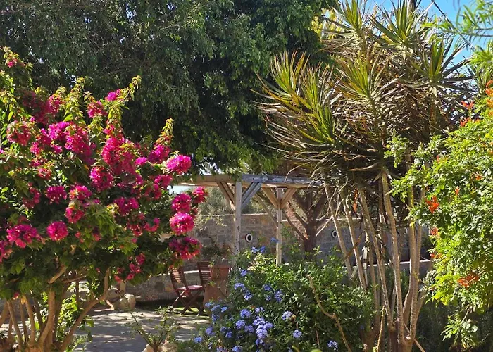 Апартаменты Xdreamport